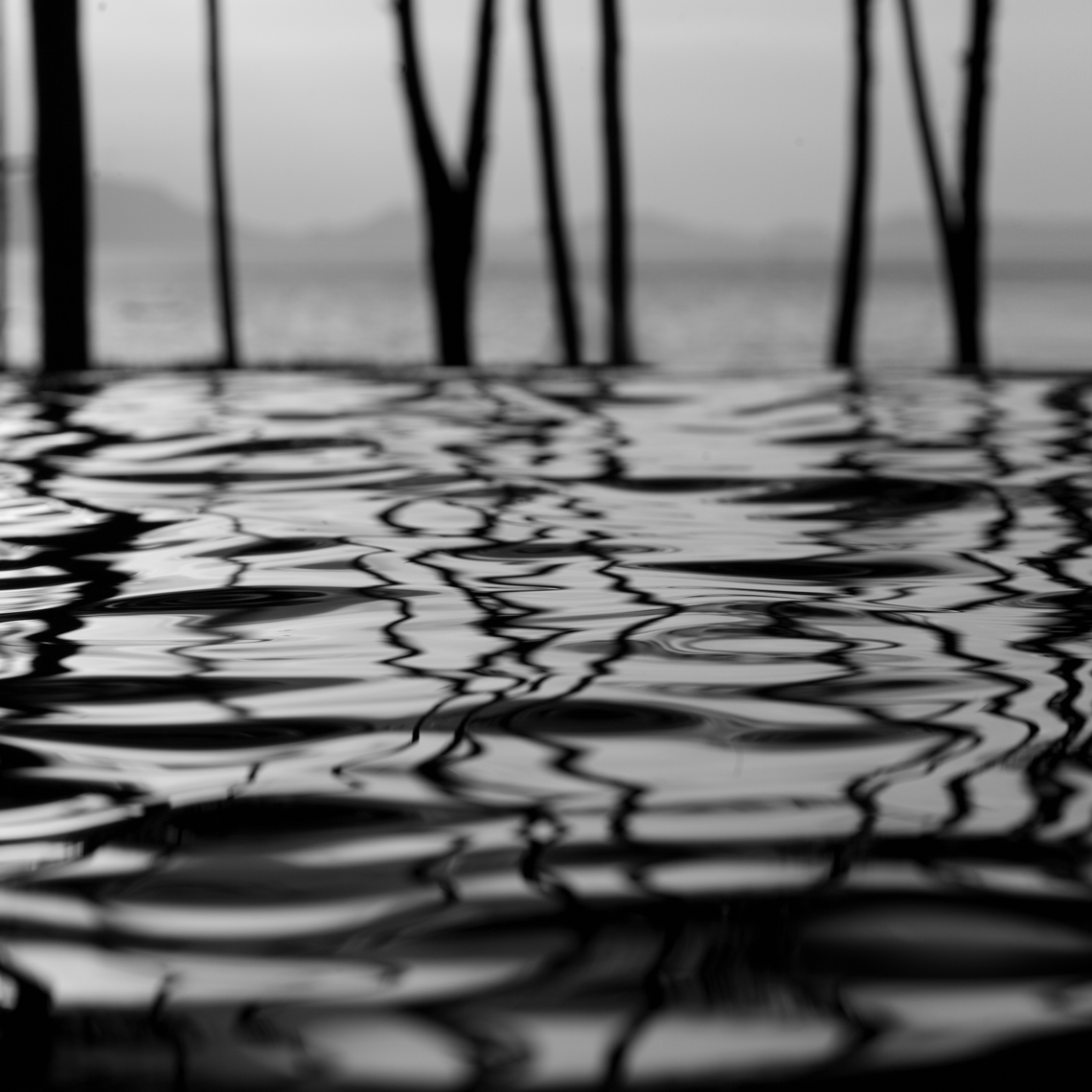 103_Art_SticksAndRipples_E9Y0134_35x35_BW_urbanDigital