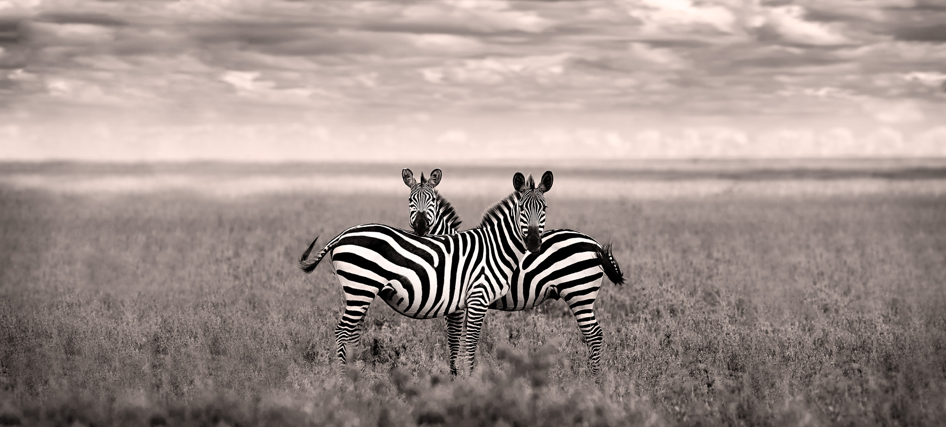 africa_10